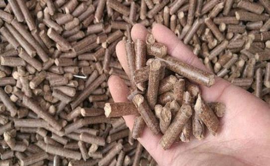 生物質燃料 生物質燃料
