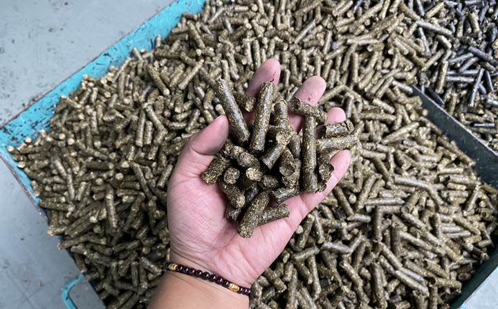 鋸末顆粒機的生物質(zhì)顆粒燃料 鋸末顆粒機的生物質(zhì)顆粒燃料