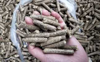 鋸末顆粒機(jī)木屑顆粒燃料市場前景如何？