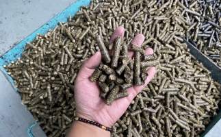 木屑顆粒機(jī)廠家告訴你生物質(zhì)顆粒燃料燃燒不充分的問題，該如何解決?