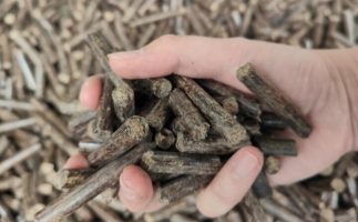 木屑燃料顆粒熱值多少大卡，完全取決于燃料的原料